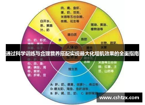 通过科学训练与合理营养搭配实现最大化增肌效果的全面指南