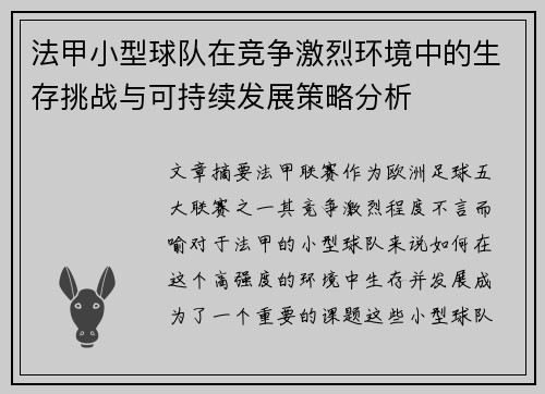 法甲小型球队在竞争激烈环境中的生存挑战与可持续发展策略分析
