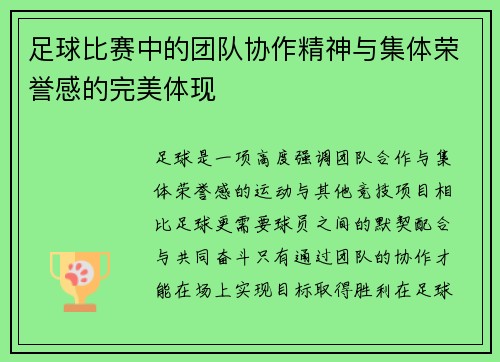 足球比赛中的团队协作精神与集体荣誉感的完美体现