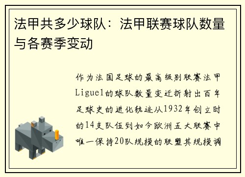 法甲共多少球队：法甲联赛球队数量与各赛季变动